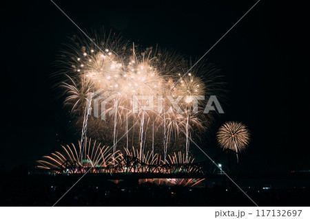 夜空に舞う打ち上げ花火 117132697