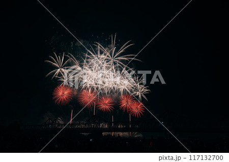 夜空に舞う打ち上げ花火 117132700