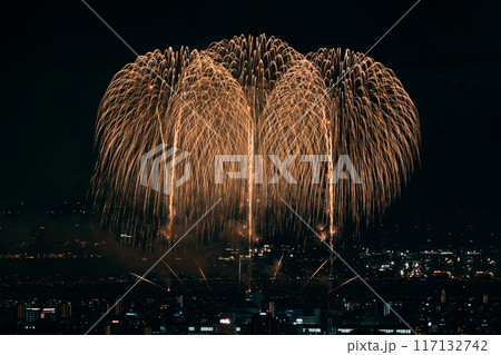 夜空に舞う打ち上げ花火 117132742