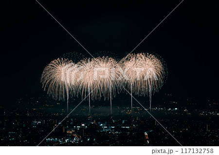 夜空に舞う打ち上げ花火 夜空に舞う打ち上げ花火 117132758