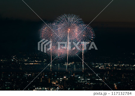 夜空に舞う打ち上げ花火 夜空に舞う打ち上げ花火 117132784