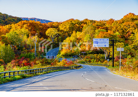 秋田県八幡平　秋の風景　 117132861