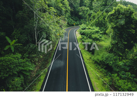 Green forest road, green travel and transportation 117132949