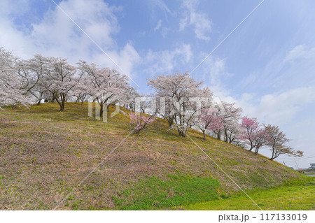 余目公園 余目公園 117133019