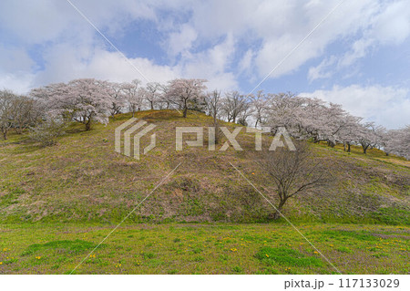 余目公園 余目公園 117133029