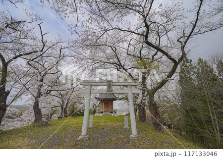 余目公園 余目公園 117133046