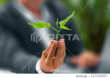 Sustainable business with the planet through renewable energy and green CO2 emissions, whereby using renewable energy can limit climate change and global warming. 117133057