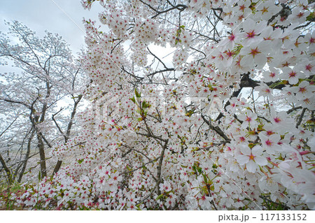 余目公園 余目公園 117133152