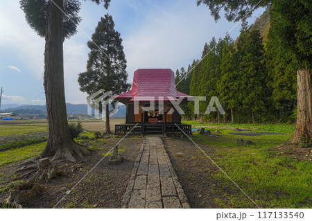 おしら様の枝垂れ桜 117133540