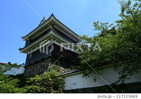 福知山城(京都府)の天守 福知山城(京都府)の天守 117133669