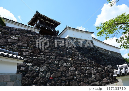 福知山城(京都府)城門と石垣 福知山城(京都府)城門と石垣 117133710