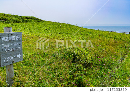 北海道 襟裳岬 117133839