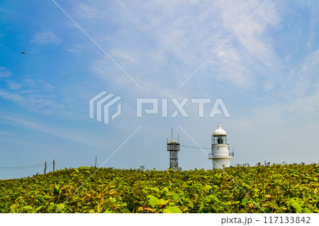 北海道 襟裳岬 北海道 襟裳岬 117133842