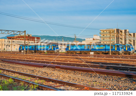 【JR貨物EH200形電気機関車】ECO POWER ブルーサンダー【南松本駅】 117133924