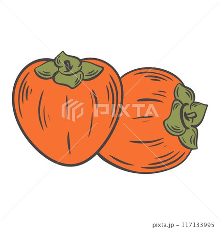 Two ripe juicy persimmons vintage engraving clip art Two ripe juicy persimmons vintage engraving clip art 117133995