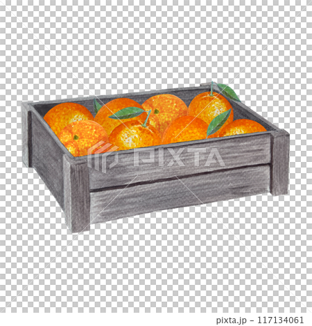 A wooden crate with vibrant oranges, some with fresh green leaves. Watercolor illustration isolated on white. High quality hand drawn art for shop ads design, packages, natural organic food, label A wooden crate with vibrant oranges, some with fresh green leaves. Watercolor illustration isolated on white. High quality hand drawn art for shop ads design, packages, natural organic food, label 117134061