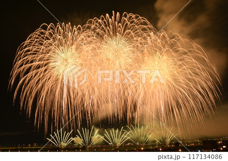 長岡花火2024 117134086