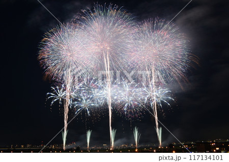 長岡花火2024 117134101