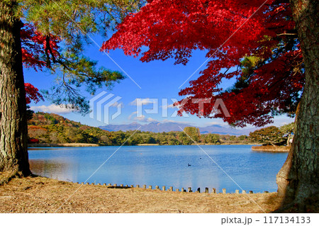 秋の南湖公園(福島県・白河市) 秋の南湖公園(福島県・白河市) 117134133