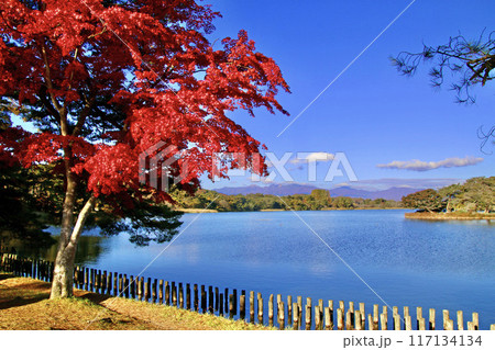 秋の南湖公園（福島県・白河市） 117134134