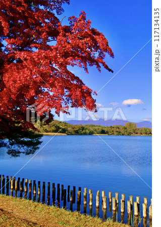 秋の南湖公園（福島県・白河市） 117134135