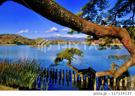 秋の南湖公園（福島県・白河市） 117134137