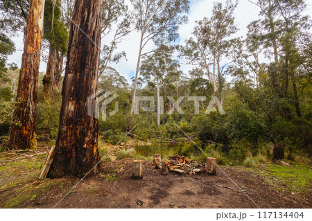 Lerderderg Heritage River Walk in Melbourne Australia 117134404