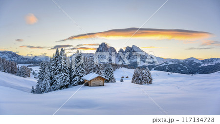 Panoramic view on Alpe di Siusi meadow with small wooden log cabin Panoramic view on Alpe di Siusi meadow with small wooden log cabin 117134728