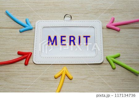 MERIT MERIT 117134736