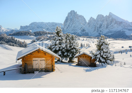 Picturesque landscape with cozy wooden log cabin on meadow Alpe di Siusi Picturesque landscape with cozy wooden log cabin on meadow Alpe di Siusi 117134767