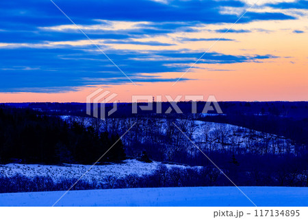 雪の丘から見るカラマツと朝焼けの空 雪の丘から見るカラマツと朝焼けの空 117134895