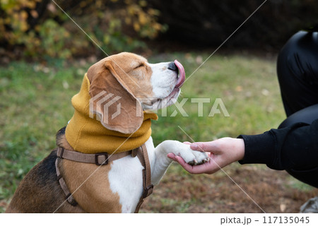 Woman and dog tender hugs Woman and dog tender hugs 117135045