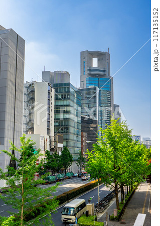 大阪市北区西天満　商業ビル街（フェニックスタワー） 117135152