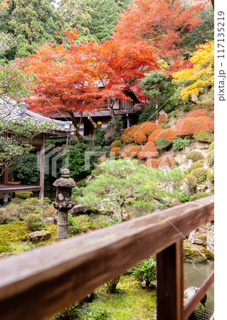 京都府長岡京市 西山 楊谷寺 (柳谷観音) 紅葉の浄土苑 京都府長岡京市 西山 楊谷寺 (柳谷観音) 紅葉の浄土苑 117135219