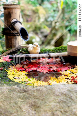 京都府長岡京市　西山　楊谷寺 (柳谷観音)　もみじの恋手水（ハート） 117135227