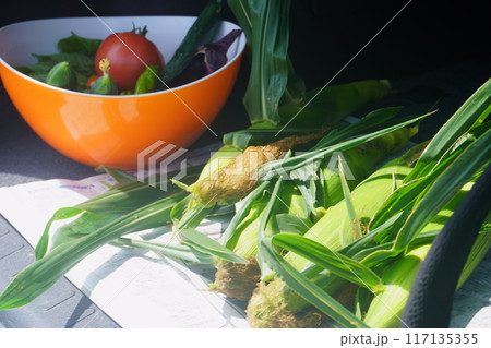 夏の家庭菜園で採れた野菜たち 夏の家庭菜園で採れた野菜たち 117135355