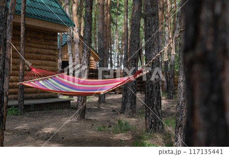 Beautiful young woman relaxing in hammock in forest. Summer scenery, a beautiful morning in the bosom of nature. The girl admires the views and nature. Breathed fresh air. Beautiful morning light. 117135441