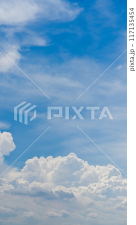 夏の空（縦構図） 117135454