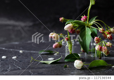 Floral layout on a vintage white wooden background and computer partially. Spring flowers, woman freelancing concept. View from above. 117136544