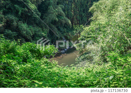 姶良市の龍門滝へ向かう山道からの景色(横構図) 姶良市の龍門滝へ向かう山道からの景色(横構図) 117136730