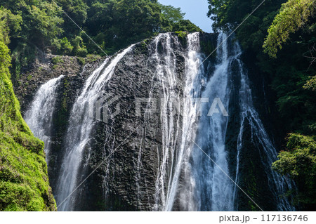 姶良市の網掛川から見上げる龍門滝（横構図アップ） 117136746