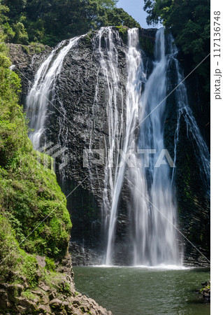 姶良市の網掛川から見上げる龍門滝（縦構図） 117136748
