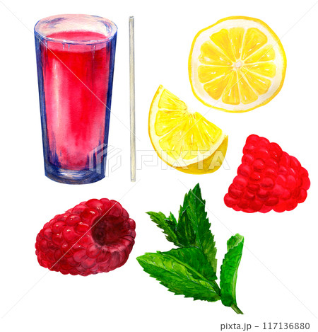Raspberry cocktail set watercolor 117136880
