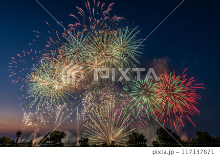 第65回いたばし花火大会 117137871