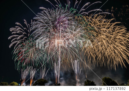 第65回いたばし花火大会 第65回いたばし花火大会 117137892