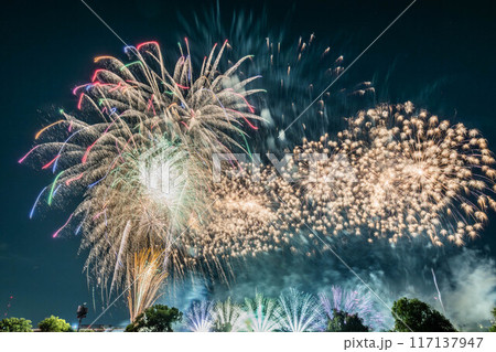 第65回いたばし花火大会A席ペア