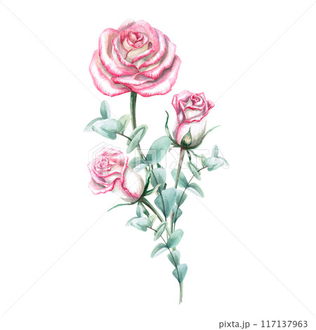 Bouquet of pink roses in watercolor illustration. Hand drawn watercolor for cards, posters, cosmetics, celebration decorations. Composition isolated from background 117137963