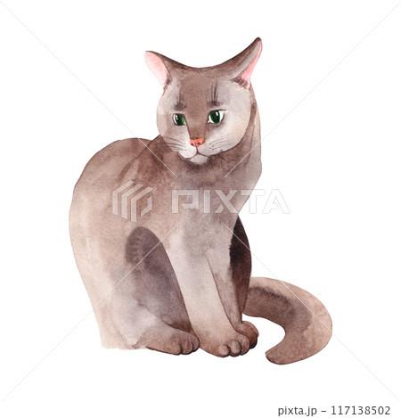 Gray fluffy cat with green eyes, pet hand drawn with watercolor. Watercolor illustration. Suitable for printing on fabric, paper, for packaging on pet products. Gray fluffy cat with green eyes, pet hand drawn with watercolor. Watercolor illustration. Suitable for printing on fabric, paper, for packaging on pet products. 117138502