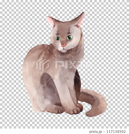 Gray fluffy cat with green eyes, pet hand drawn with watercolor. Watercolor illustration. Suitable for printing on fabric, paper, for packaging on pet products. Gray fluffy cat with green eyes, pet hand drawn with watercolor. Watercolor illustration. Suitable for printing on fabric, paper, for packaging on pet products. 117138502