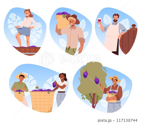 A set of vector illustrations on a white background with the stages of wine creation 117138744